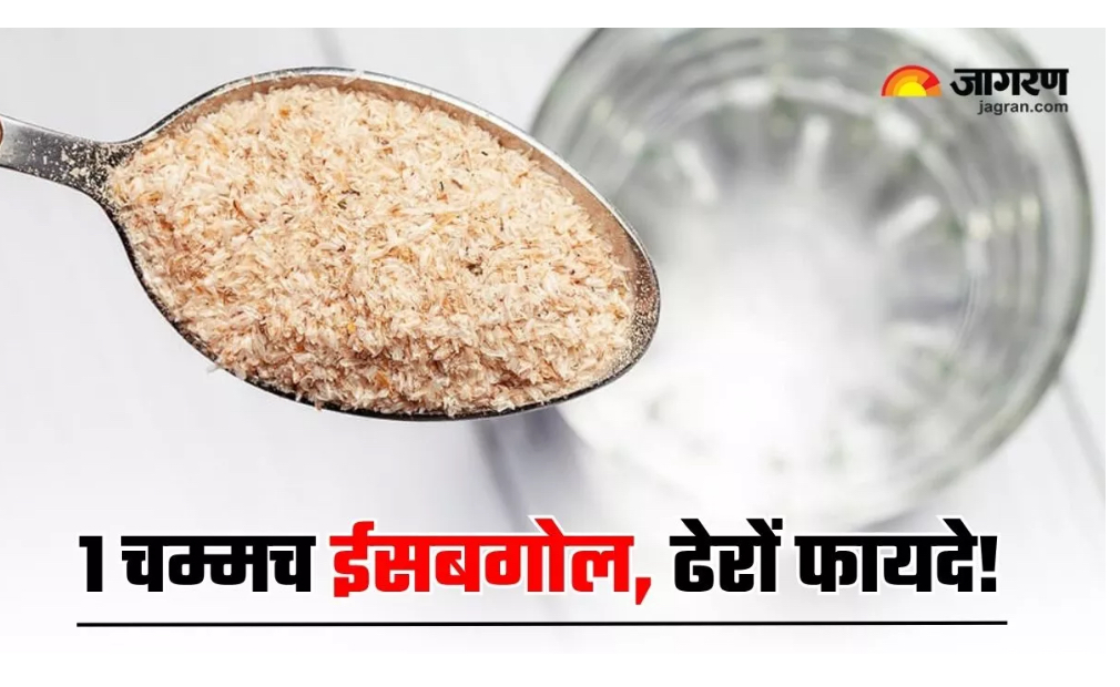 खाने से आधा घंटा पहले बस 1 चम्मच ईसबगोल खाने से होंगे कमाल के फायदे, बता रही हैं डायटीशियन ज्योति
