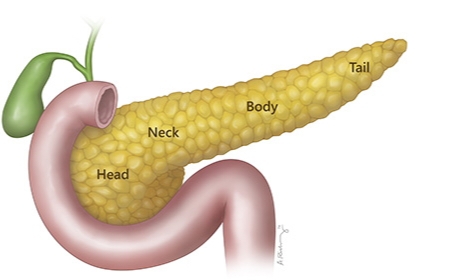 पैंक्रियास को हेल्दी रखने के टिप्स