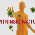 विटामिन B12 की कमी ही नहीं, इंट्रिसिक फैक्टर भी है मांसपेशियों और नसों की कमजोरी का मुख्य कारण (डायटीशियन अमृता)