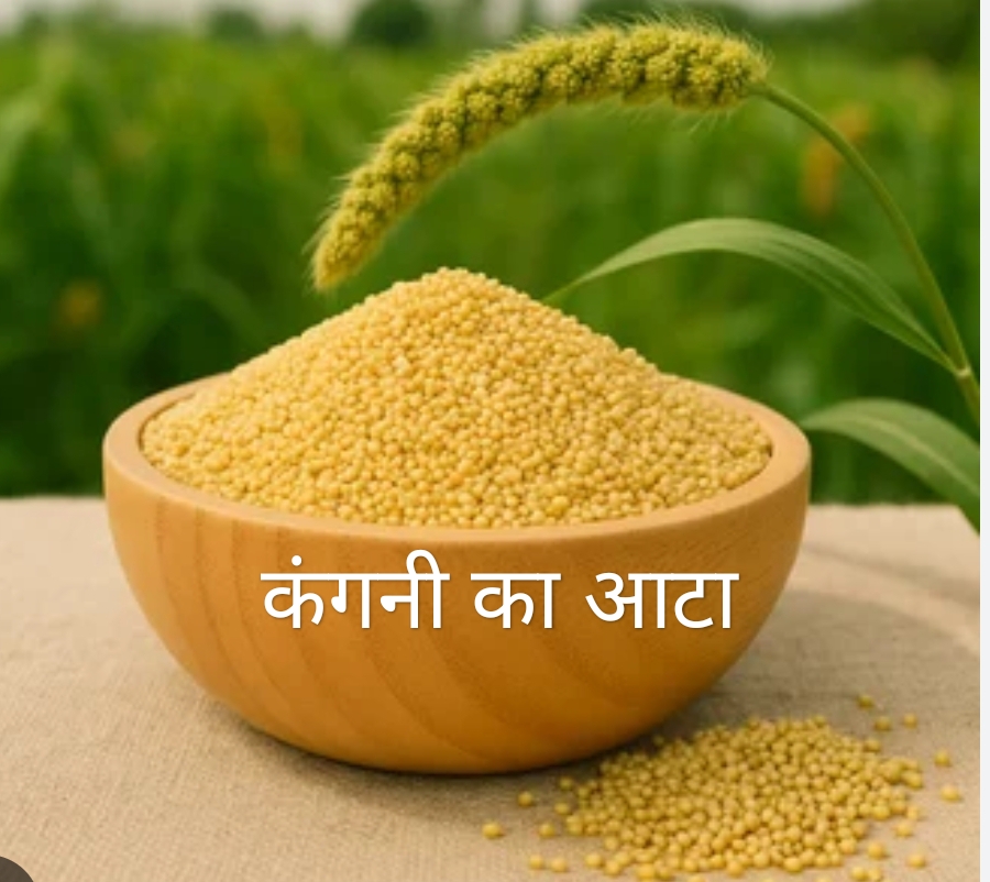 “कंगनी का आटा”- डायबिटीज में वरदान, फिर किसके लिए नुकसान!(डायटीशियन अमृता)