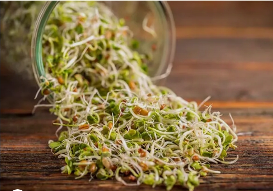 अंकुरित मेथी खाने के अद्भुत स्वास्थ्य लाभ!(डायटीशियन अमृता)