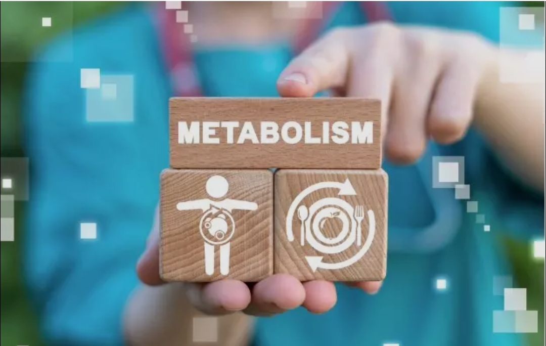 मेटाबोलिज्म सही करने के लिए खुद में लाएं बदलाव! (डायटीशियन अमृता)