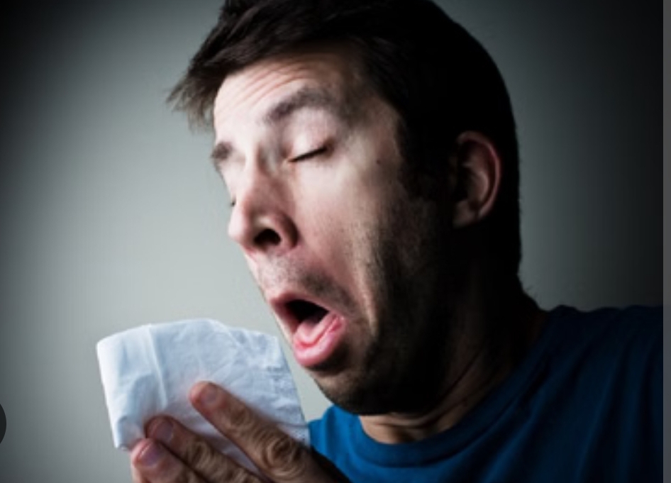 छींक आना भी जरूरी है!