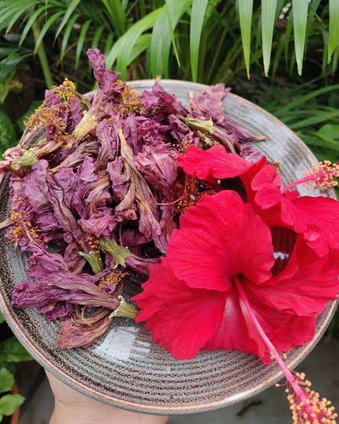 स्वस्थ बालों के लिए गुड़हल का इस्तेमाल करें