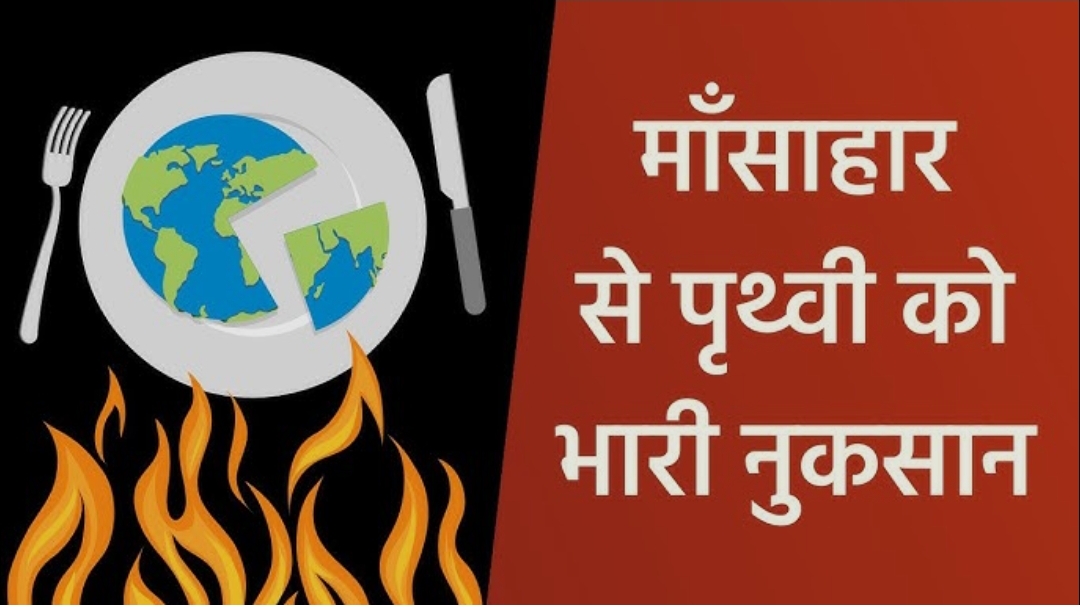 मांसाहार से पर्यावरण पर पड़ रहा बुरा असर! -(रिसर्च रिपोर्ट)