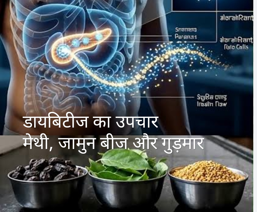 डायबिटीज का उपचार – मेथी, जामुन बीज और गुड़मार! (डायटीशियन अमृता)