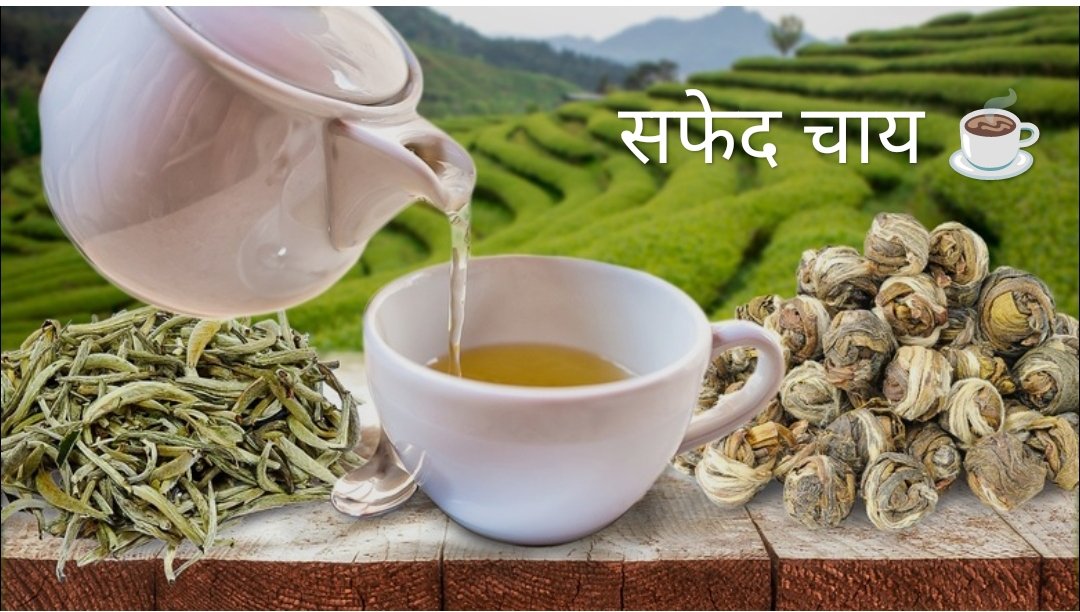 “सफेद चाय”- सिर्फ मॉडर्न ट्रेंड नहीं हेल्दी फ्रेंड भी!
